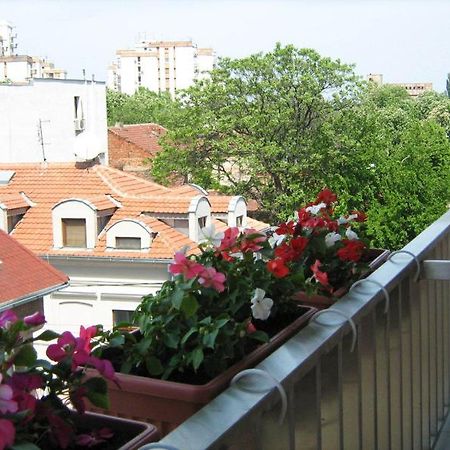One Bedroom Apartment Dorcol Live Belgrado Buitenkant foto